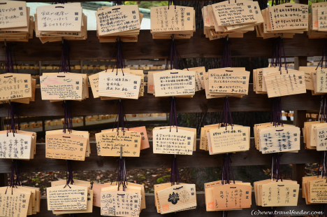 Wishing tablets in Meiji Jingu Shrine, Tokyo